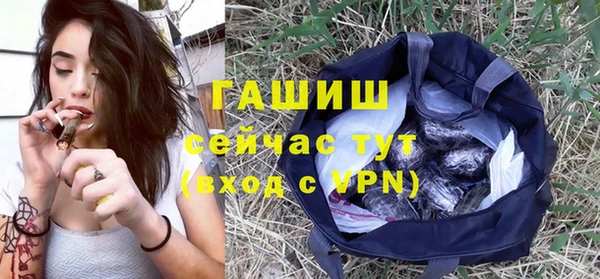 гашик Белокуриха