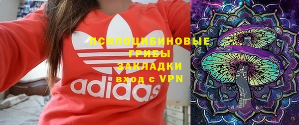 гашик Белокуриха