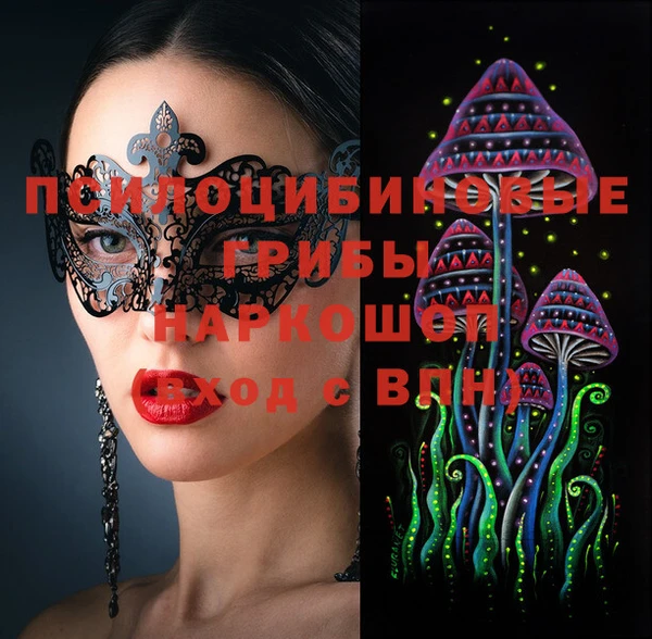 гашик Белокуриха