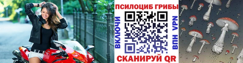 Псилоцибиновые грибы прущие грибы  кракен как войти  Вилюйск  купить закладку 